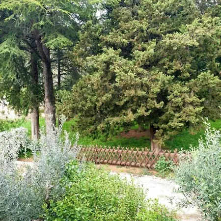 Domus Aromatica, Profumo D'assisi, Profumo Di Casa Apartman Assisi