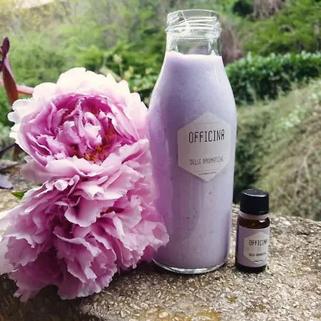 Domus Aromatica, Profumo D'assisi, Profumo Di Casa *