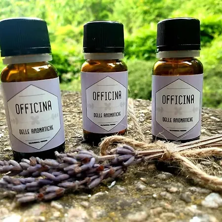 公寓 Domus Aromatica, Profumo D'assisi, Profumo Di Casa 阿西西