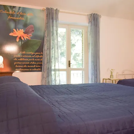 Domus Aromatica, Profumo D'assisi, Profumo Di Casa