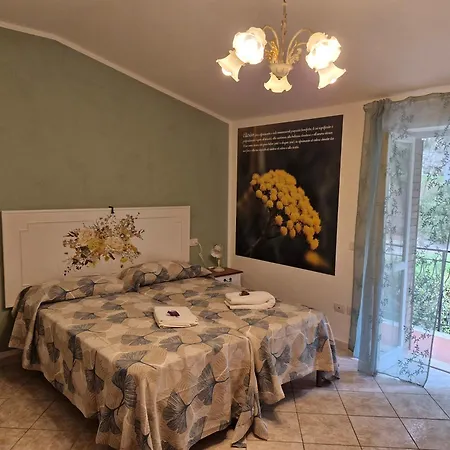 Domus Aromatica, Profumo D'assisi, Profumo Di Casa * Assisi