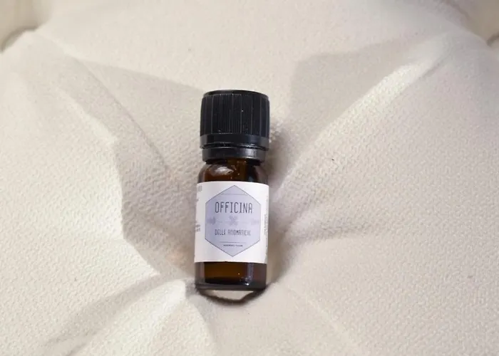 Domus Aromatica, Profumo D'assisi, Profumo Di Casa Assisi