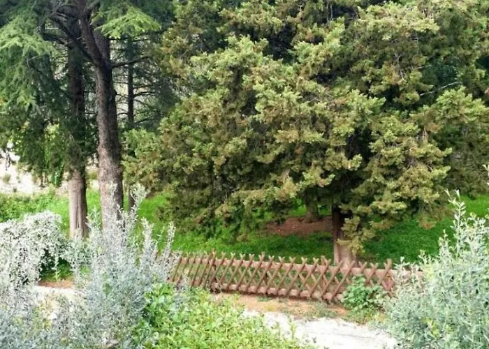 Domus Aromatica, Profumo D'assisi, Profumo Di Casa Lejlighed Assisi