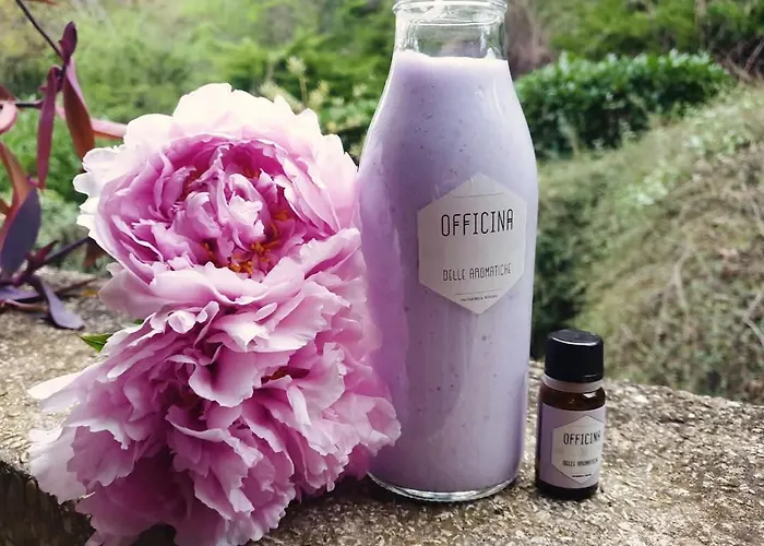 Domus Aromatica, Profumo D'assisi, Profumo Di Casa *