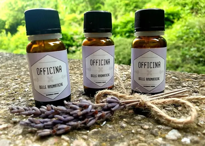 Lejlighed Domus Aromatica, Profumo D'assisi, Profumo Di Casa Assisi