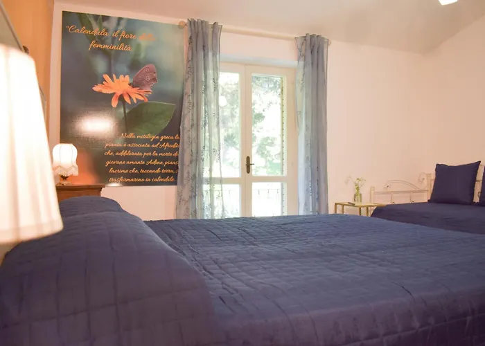 Domus Aromatica, Profumo D'assisi, Profumo Di Casa